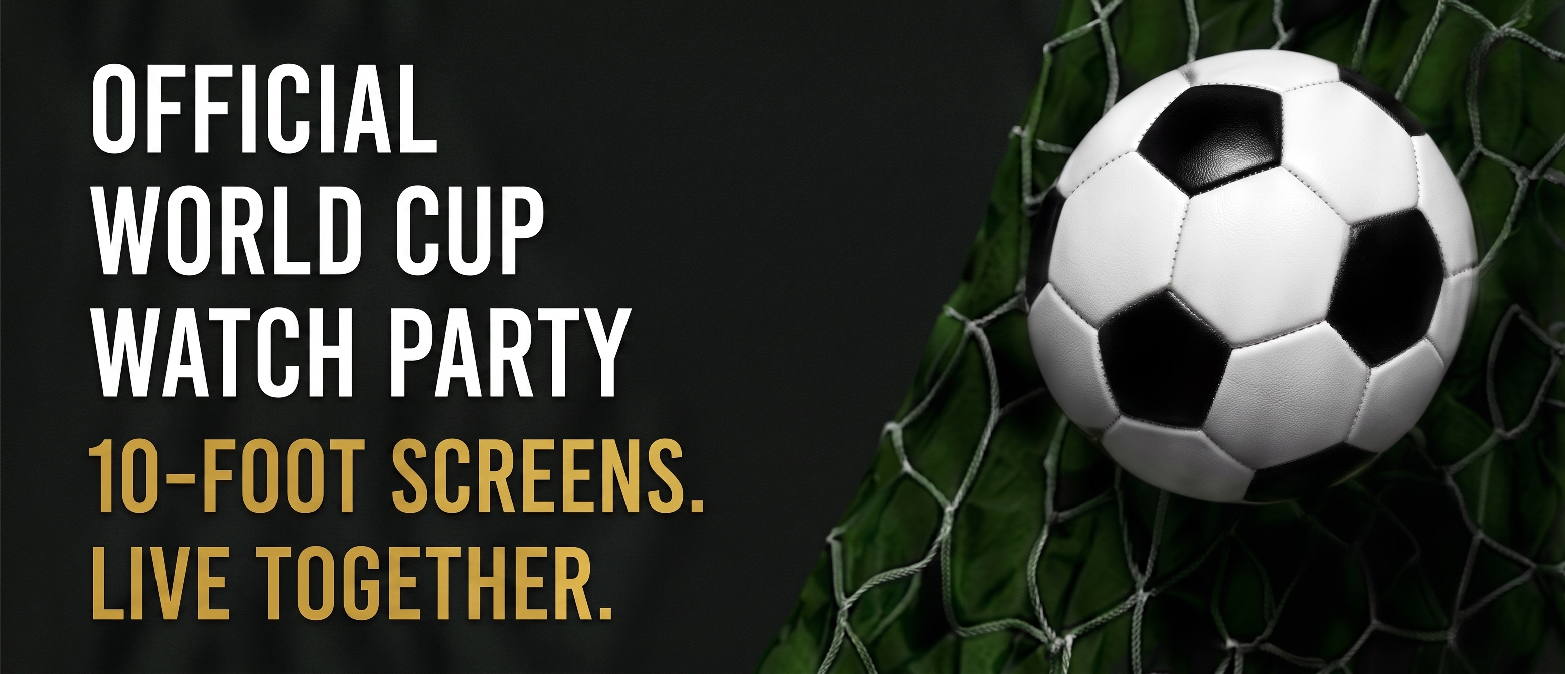 Official World Cup Watch Party